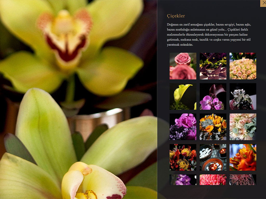 description